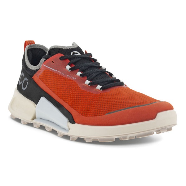 купить ECCO BIOM 2.1 X COUNTRY M (822804-60596)